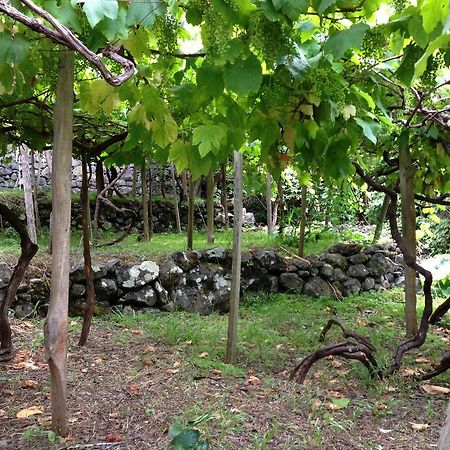 Holidays Madeira São Vicente Екстериор снимка