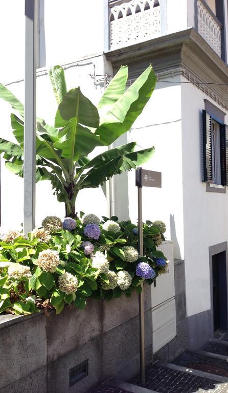 Holidays Madeira São Vicente Екстериор снимка