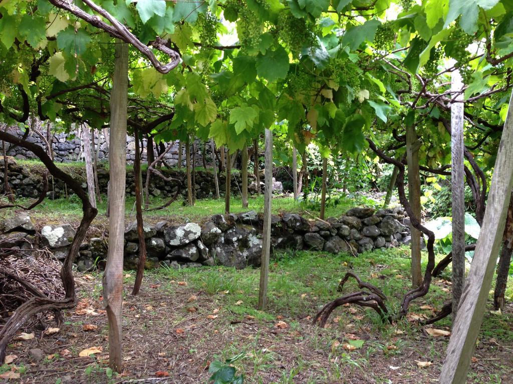 Holidays Madeira São Vicente Екстериор снимка